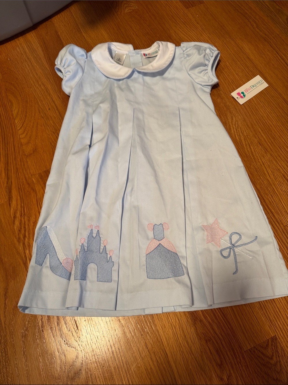 Light Blue Girls' Dress with Princess Motif and Peter Pan Collar